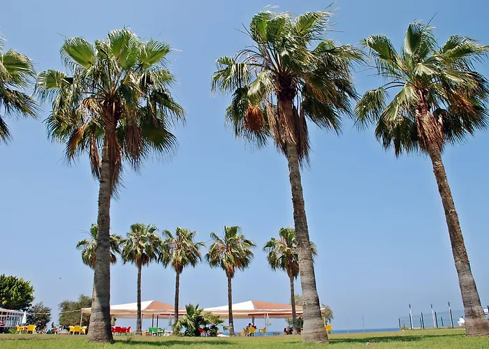 Selinus Club غازي باشا